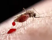 Estado da Paraíba confirma terceiro caso de malári