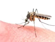 Homem é internado no HU vítima de malária