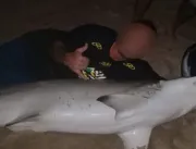 Tubarão é capturado por pescadores em praia de Joã