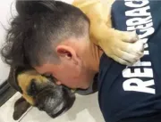 Cadela morre abraçada ao dono após ter um ataque c