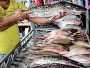 Cecaf realiza segunda edição da Semana do Pescado