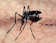 Brasil ultrapassa os 500 mil casos de dengue no an