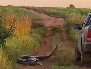 VÍDEO: Cobra de sete metros ataca família dentro d