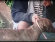 Vídeo: homem é flagrado obrigando cachorro a inala