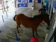 ASSISTA: Bastante agitado, cavalo invade casa loté