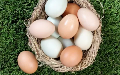 Preço do ovo deve aumentar, diz ministra da agricu