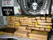 Polícia apreende mais de 80 kg de drogas enterrada