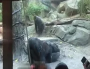 Macacos praticam sexo oral e chocam visitantes de 