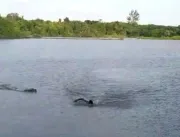 Homem nada em lago proibido para banho e é atacado