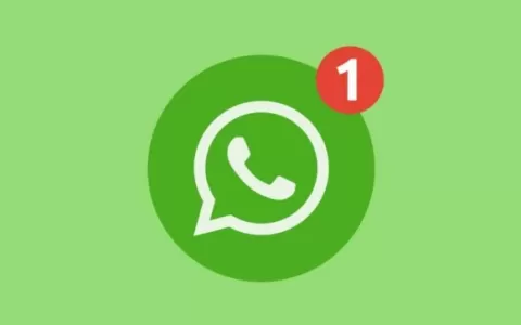 Whatsapp libera nova função que ninguém estava pre
