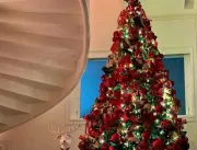 Cantora posa sem roupa em frente a árvore de Natal