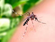 Casos de dengue sobem 55% no Brasil 