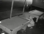 Vídeo: Homem defeca em bar e espalha fezes sobre m