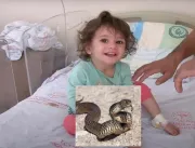 Menina de 2 anos mata cobra com os dentes, depois 