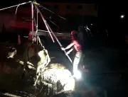 VEJA NO VÍDEO - Vaca é resgatada após cair em bura