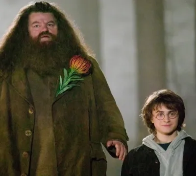 Robbie Coltrane, o Hagrid de ‘Harry Potter’, morre