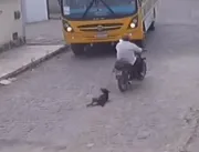 Homem suspeito de arrastar cadela em motocicleta n