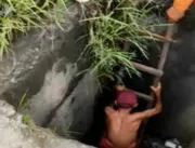 MILAGRE: Idoso é resgatado de bueiro após 8 dias desaparecido; confira no vídeo