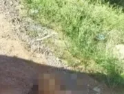Homem enforca e mata cachorro de vizinho a pedrada
