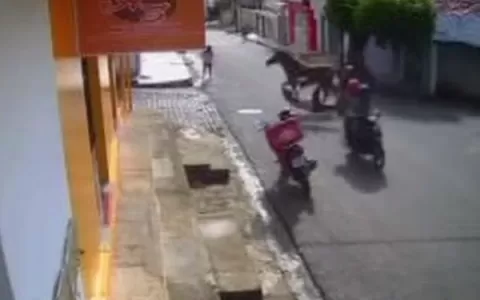 [VÍDEO] Cavalo colide com lateral de moto e ‘arran