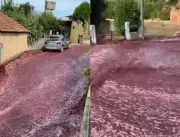 Rio de vinho tinto inunda ruas de Portugal após de