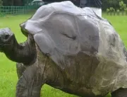 Jonathan, a tartaruga mais velha do mundo, pode se