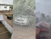 [VÍDEO] Tempestade derruba postes, árvores e deixa