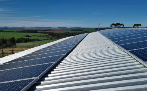 Energia solar para empresas: veja os principais benefícios