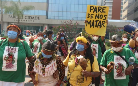Em defesa dos povos e territórios amazônicos 