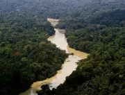 Alertas de desmatamento na Amazônia caem 66% em ag
