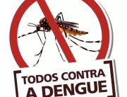 Erechim chega a 83 casos confirmados de dengue