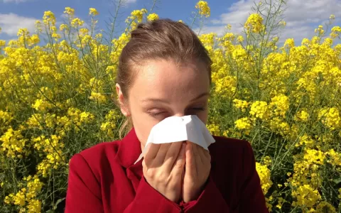 Primavera aumenta incidência de alergias; saiba co