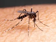 Dengue faz três estados e o Distrito Federal decre