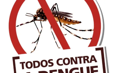 Erechim chega a 83 casos confirmados de dengue