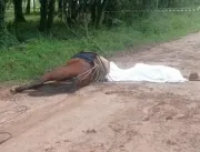 Jovem e dois cavalos morrem eletrocutados em Bagé