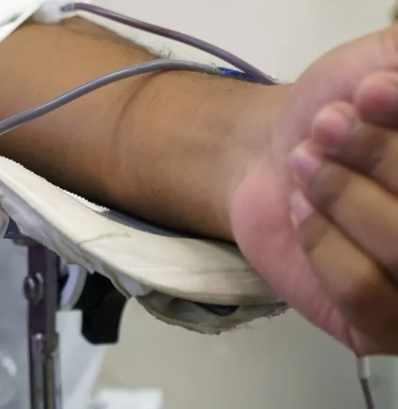 Hemocentros buscam fazer mutirão de doação de sang