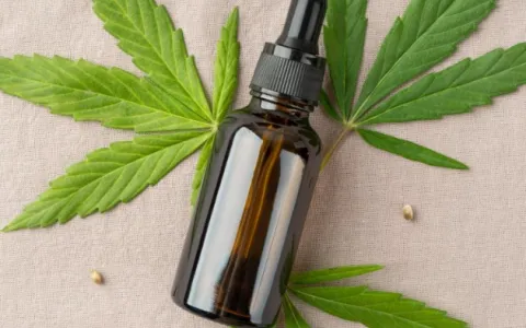 Desvendando a cannabis medicinal: entenda por que o corpo humano reage bem ao tratamento com a planta