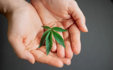 Cannabis medicinal é aliada no controle das náuseas para pacientes oncológicos