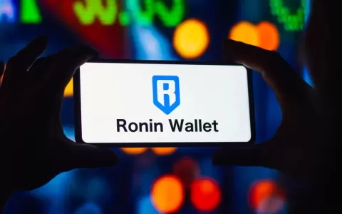 Mercado Bitcoin lista token da rede Ronin, conside