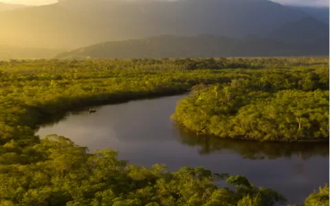 Governos da Amazônia Legal perdem recursos ao não 